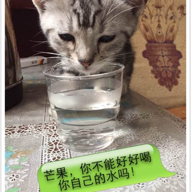 韩国釜庆大学学生卡